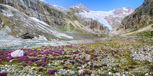 Similar image 1016052