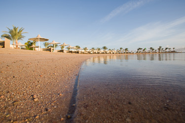 Similar image 1016172