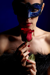 Similar image 1016183