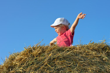 Similar image 1016225