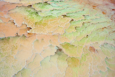 Similar image 1016228