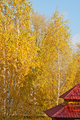 Similar image 1016236