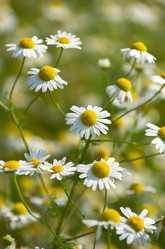 Similar image 1016237