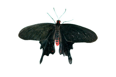 Similar image 1016375