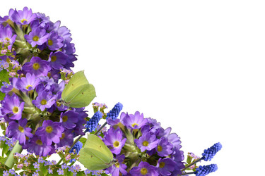 Similar image 1016388