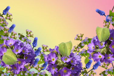 Similar image 1016394