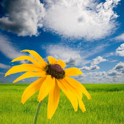 Similar image 1016398