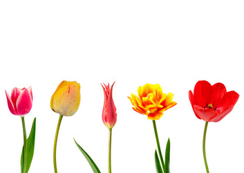 Similar image 1016448