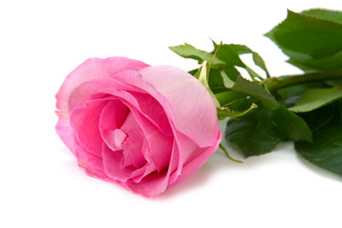 Similar image 1016478