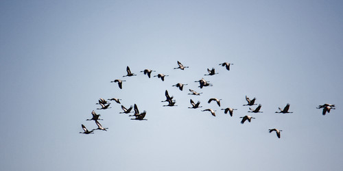 Similar image 1016479