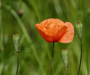 Similar image 1016486