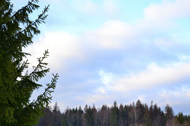 Similar image 1016492