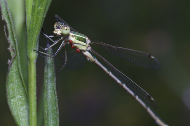 Similar image 1016564