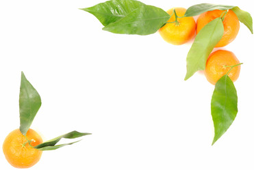 Similar image 1016608