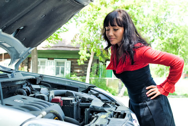 Similar image 1016629