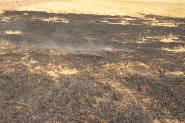 Similar image 1016684