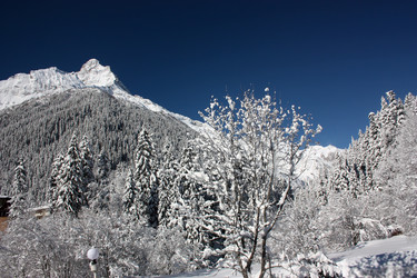 Similar image 1016694