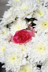 Similar image 1016697