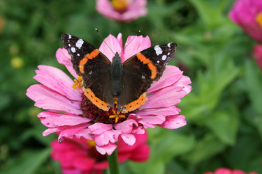 Similar image 1016701