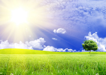 Similar image 1016732