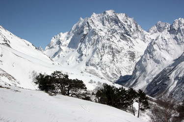 Similar image 1016735