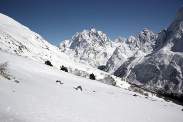 Similar image 1016736