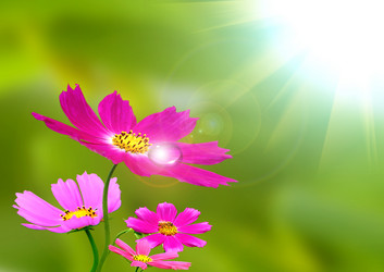 Similar image 1016738