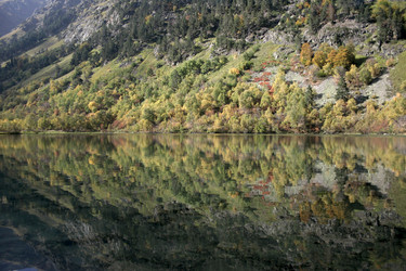 Similar image 1016743