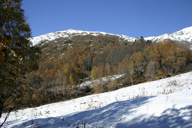 Similar image 1016767