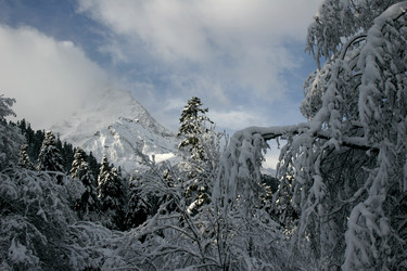 Similar image 1016769