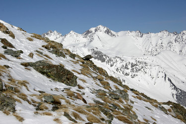 Similar image 1016771