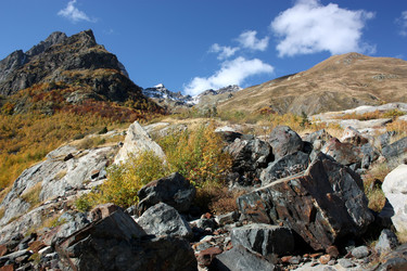 Similar image 1016772