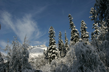 Similar image 1016775