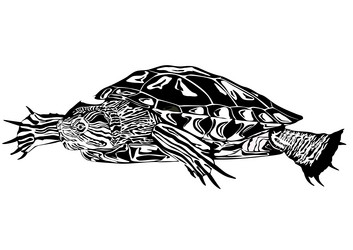 Similar image 1016783