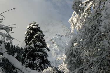 Similar image 1016791