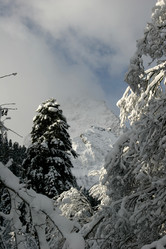 Similar image 1016793