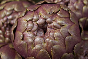 Similar image 1016810