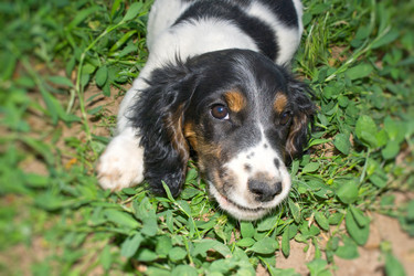 Similar image 1016814