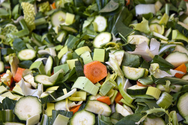 Similar image 1016891