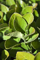 Similar image 1016899