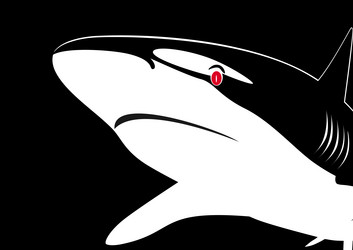 Similar image 1016918