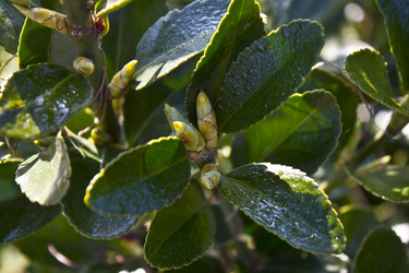 Similar image 1016972