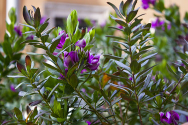 Similar image 1016985