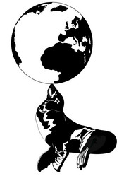 Similar image 1017002