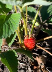 Similar image 1017039