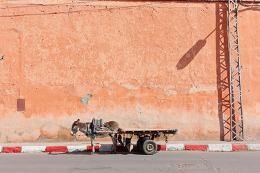 Similar image 1017092