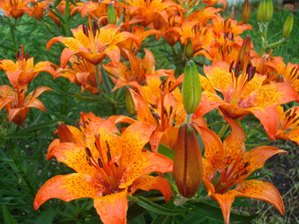 Similar image 1017102