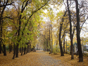 Similar image 1017113