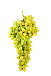 Similar image 1017115