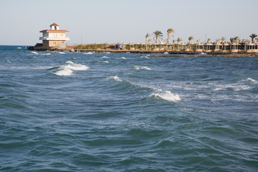 Similar image 1017139